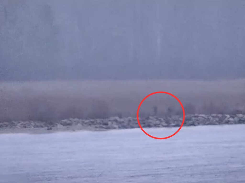 Rosyjscy strażnicy naruszają granicę NATO – stanowcza odpowiedź Estonii