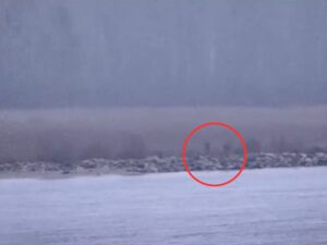 Rosyjscy strażnicy naruszają granicę NATO – stanowcza odpowiedź Estonii