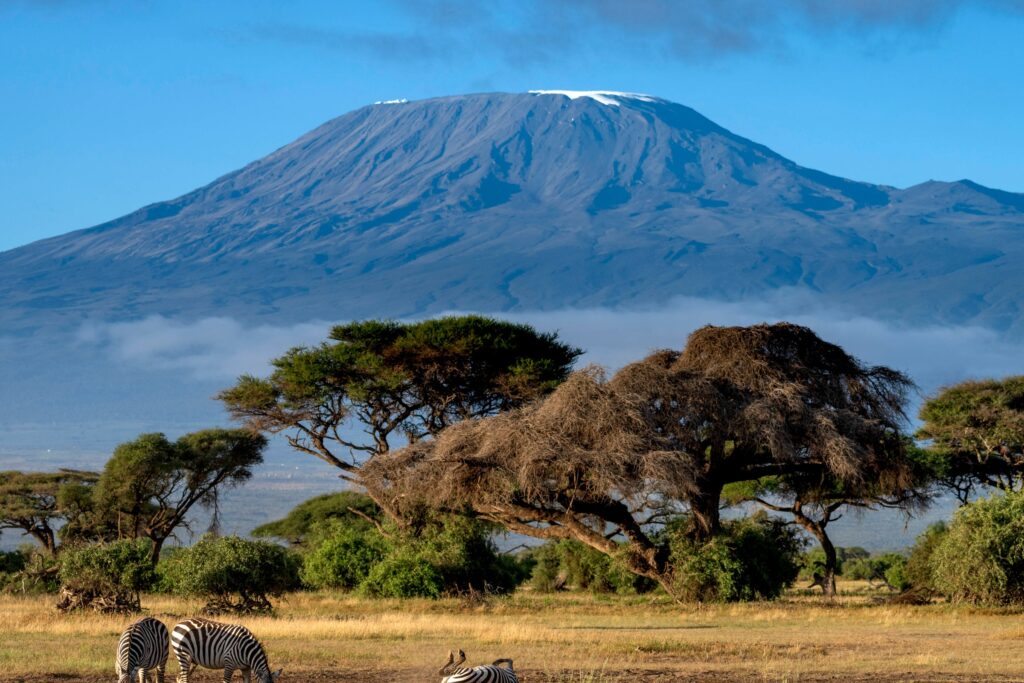 Tragiczny wypadek śmigłowca w pobliżu Kilimandżaro. Zginęli europejscy turyści