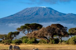 Tragiczny wypadek śmigłowca w pobliżu Kilimandżaro. Zginęli europejscy turyści